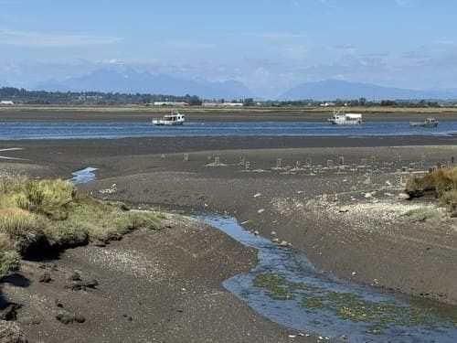 Tidal estuary mudflats with boats and a narrow winding channel